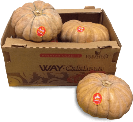 Slide - Pumpkin (463x414), Png Download