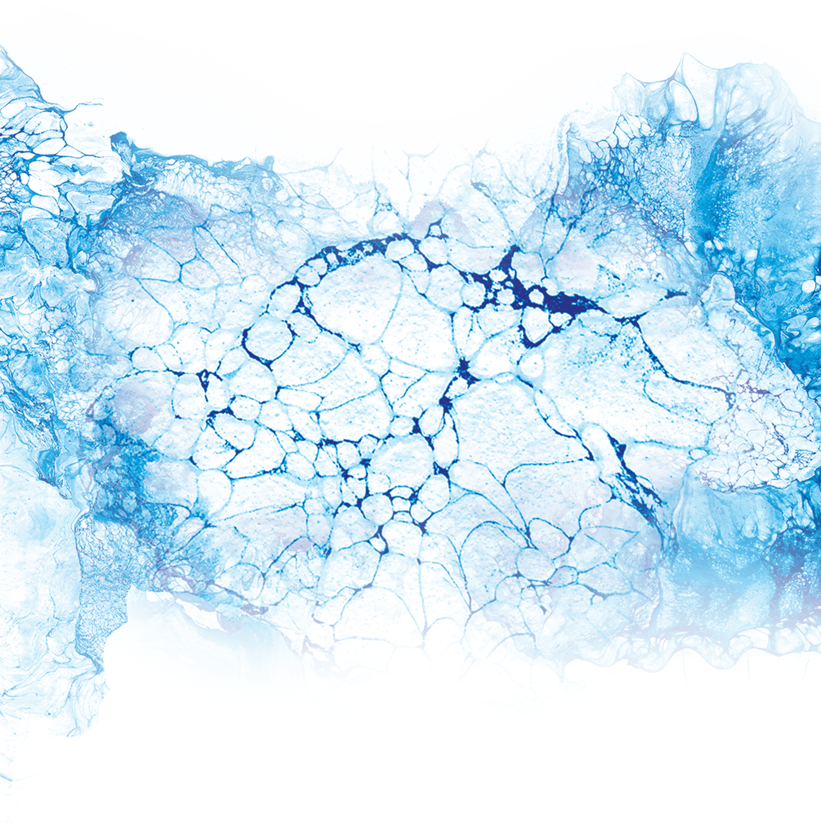 Wow Glacier Love - Wow Glacier Love - Festival Area (1600x1631), Png Download