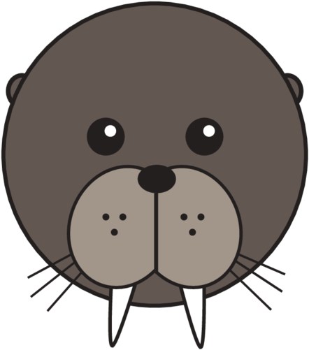 Animaru Walrus - Cartoon (800x800), Png Download