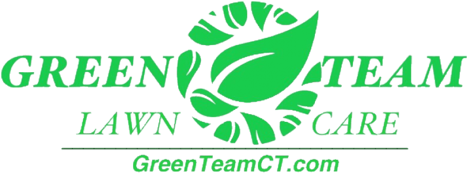 Cropped Gt Logo Final - Graphic Design (1080x499), Png Download