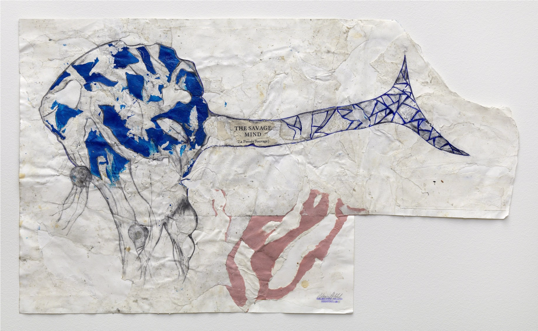 Hilarius Hofstede, Dutch Multimedia Artist, Investigates - Still Life (2488x1268), Png Download