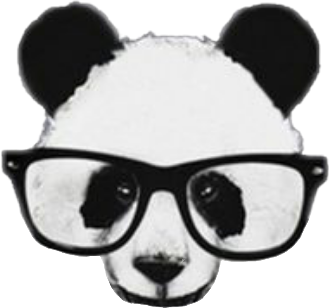 Panda Lentes Panditacool Pandabonito Negro Blanco Anima - Panda Png (1075x1007), Png Download