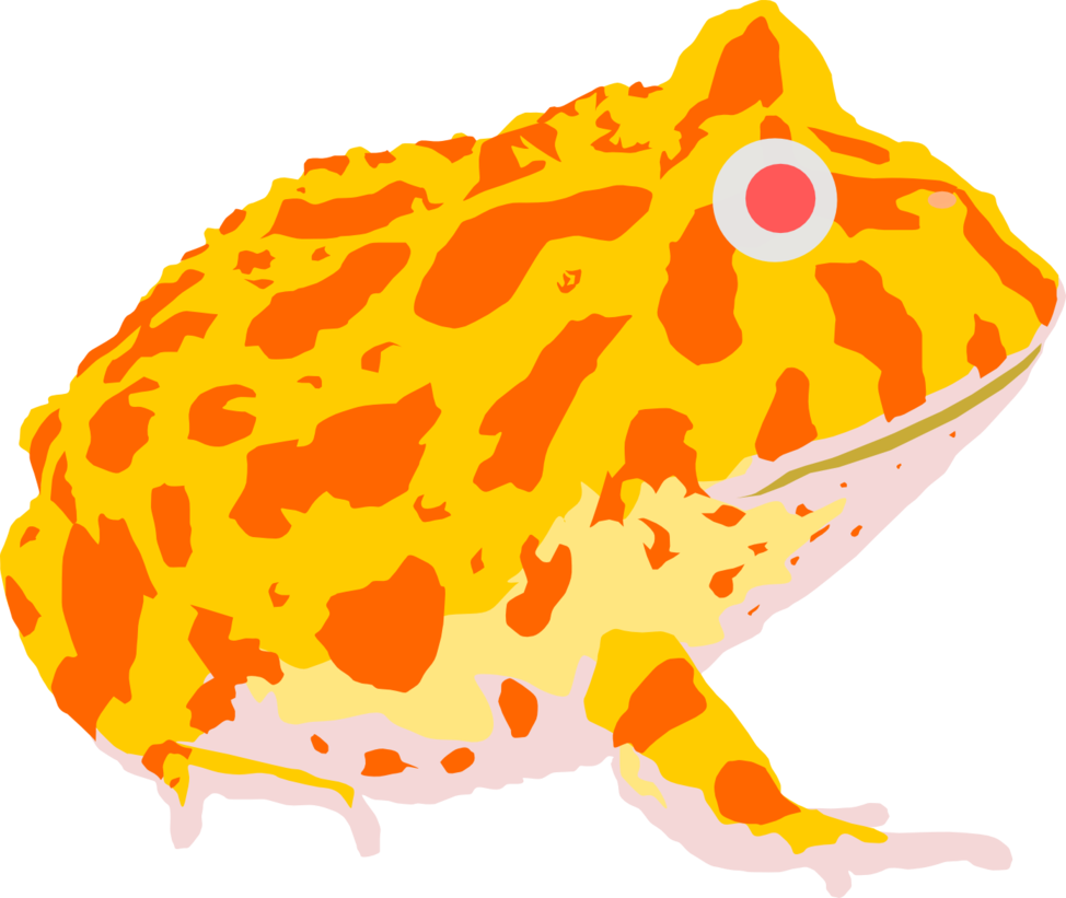 Albino Pacman Frog By Michell - Pacman Frog Clipart (974x821), Png Download