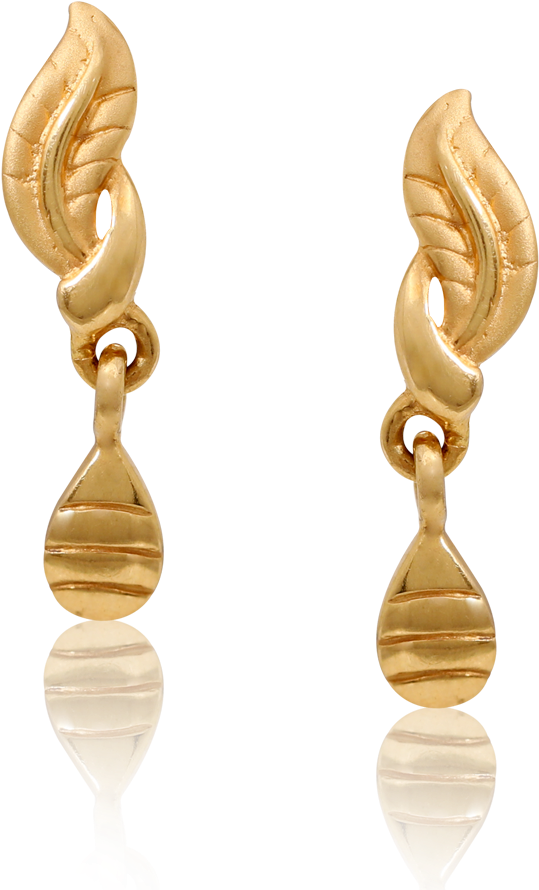 Chic Golden Feather Earrings - Earrings (1000x1000), Png Download