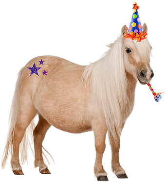 On Demand - Cute Pony (382x377), Png Download