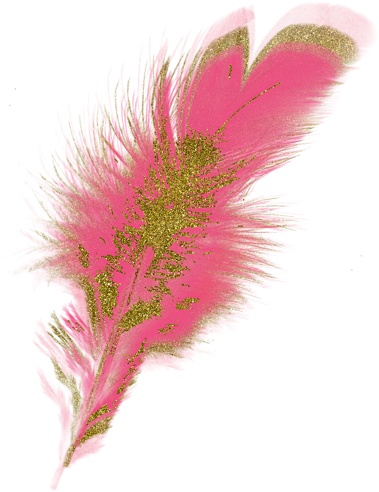 Feathers Clip Art Peacock Scrapbooking Cards Planner - Clip Art (1500x1833), Png Download