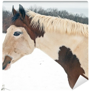 Mane (400x400), Png Download