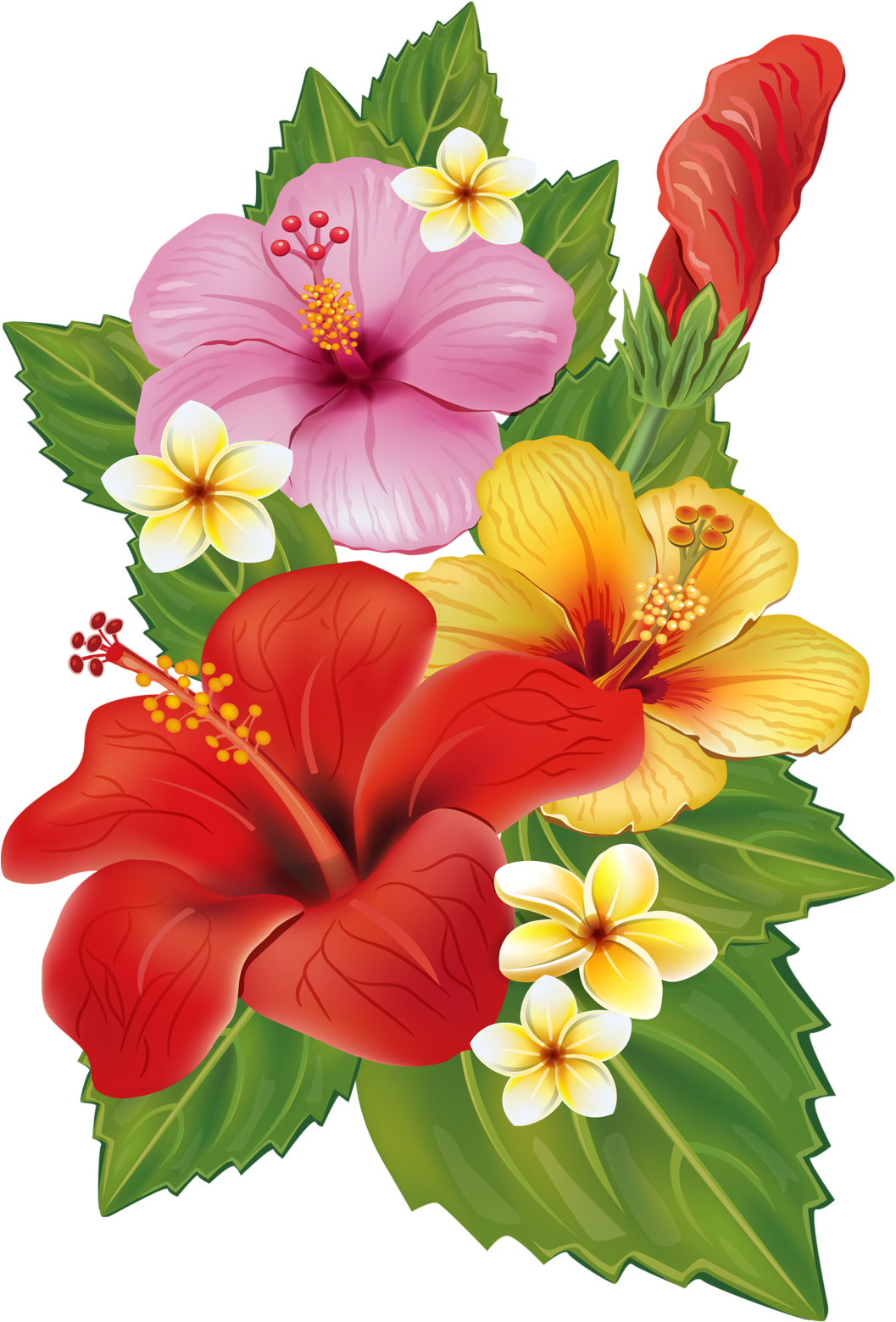 Vector Free Hummingbird Clipart Hibiscus - Tropical Png (694x1024), Png Download