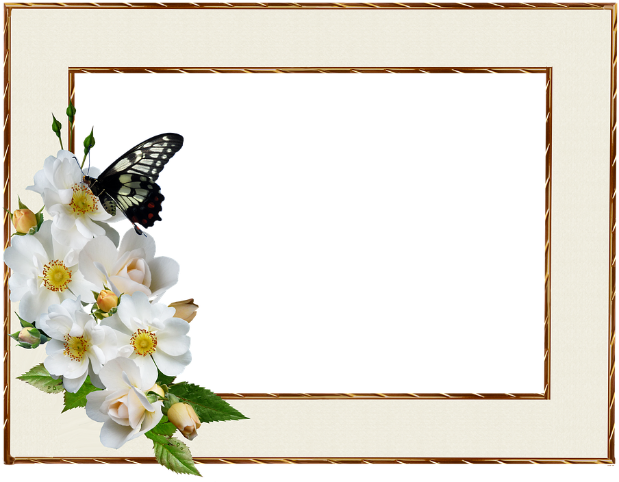 Frame, Border, White Rose, Butterfly, Decorative - Anniversary Quotes For Brother And Sister (930x720), Png Download