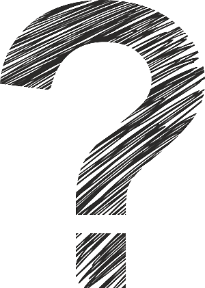That Our Present American Government Emphasizes So - Transparent Question Mark Icon (300x421), Png Download