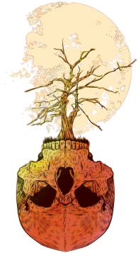Skull Tree, Skull, Skelleton, Bones Png And Vector - Skull (360x360), Png Download