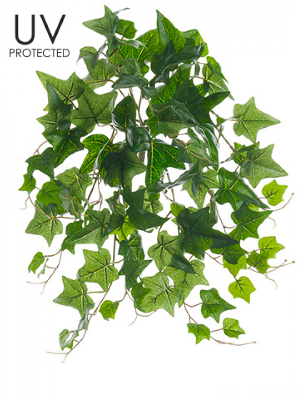 19" Uv Protected Ivy Bush Green - Tree (800x800), Png Download