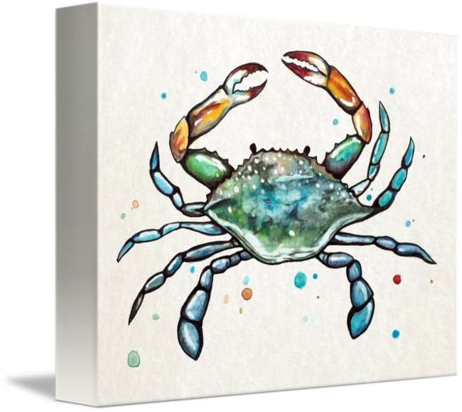 Crabs Drawing Watercolor Jpg Transparent - Cafepress Maryland Blue Crab Tile Coaster (650x579), Png Download