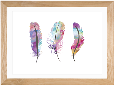 Print - Watercolour Feathers - Dream (400x397), Png Download