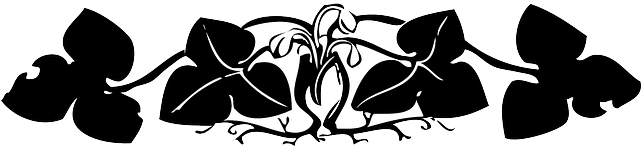Black, Decorations, Plants, Flower, Flowers, Border - Border Flower Png Hd Black (640x320), Png Download