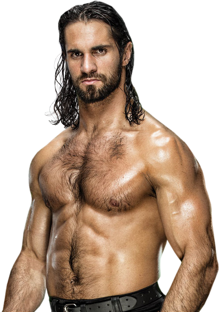 17 Aug - Wwe Seth Rollin Body (448x636), Png Download