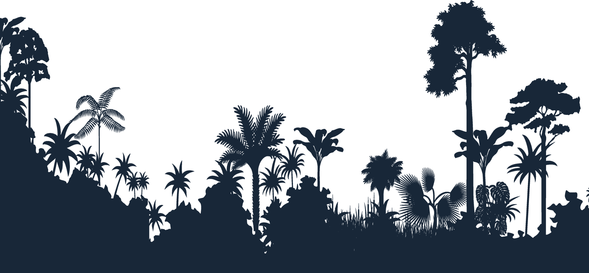 Gamble Beast - Jungle Tree Silhouette Png (1920x889), Png Download