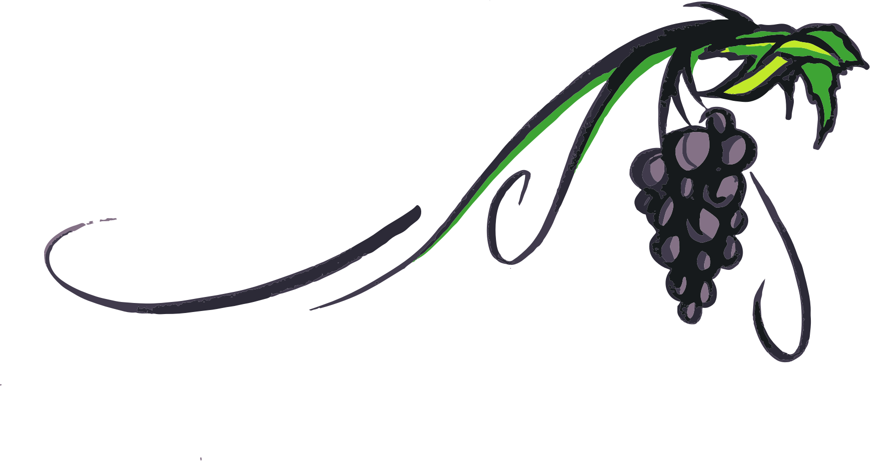 28 Collection Of Grape Vine Clipart Png High Quality - Simple Grape Vine Clip Art (1735x919), Png Download