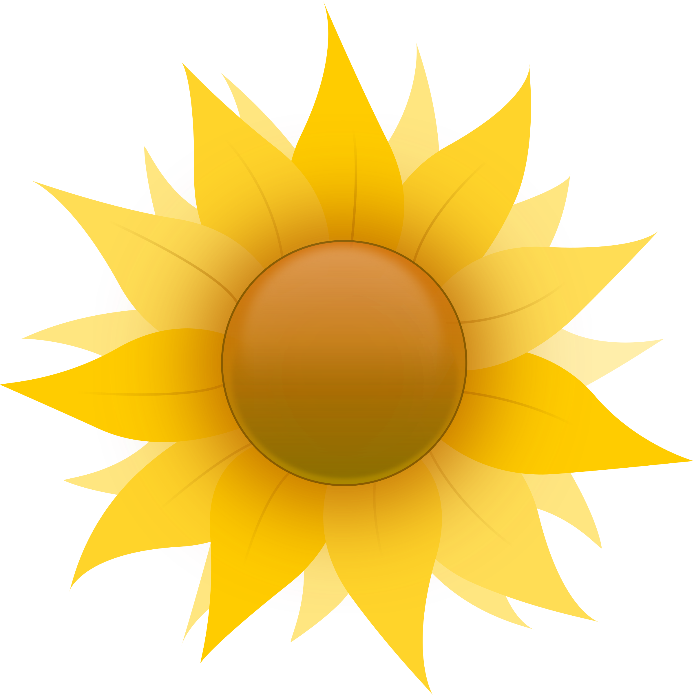 Sunflower - Sunflower Clip Art (594x595), Png Download