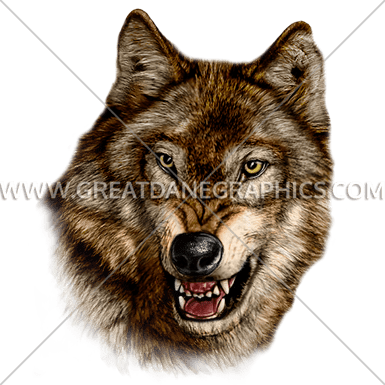 Wolf Snarl - Grey Wolf (385x385), Png Download
