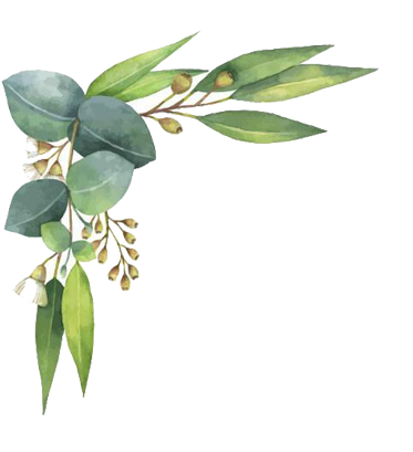 Watercolor Flowers Png Free1 - Watercolor Leaf Border Png (400x408), Png Download