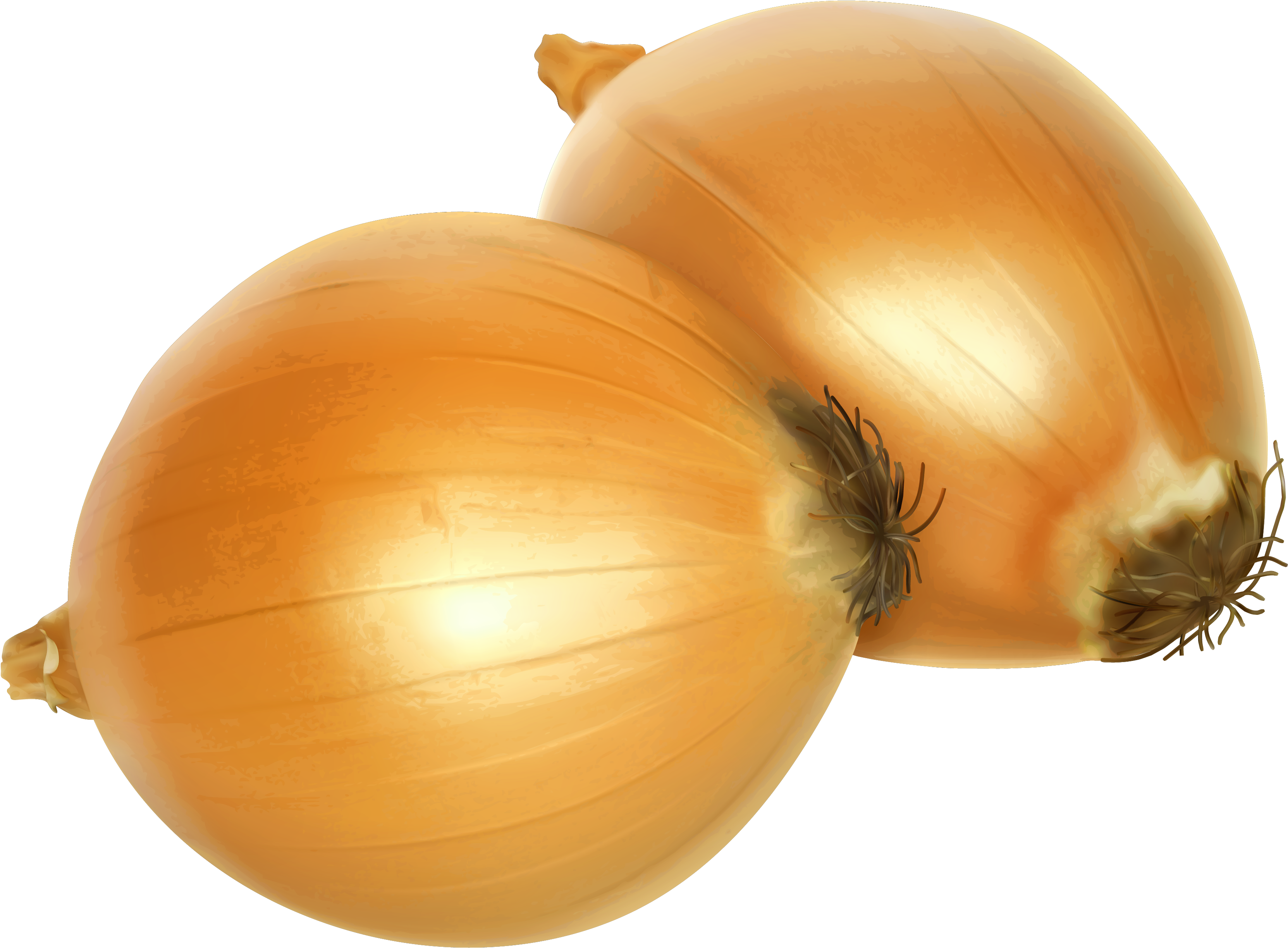 Free Onion Clipart (3456x2682), Png Download