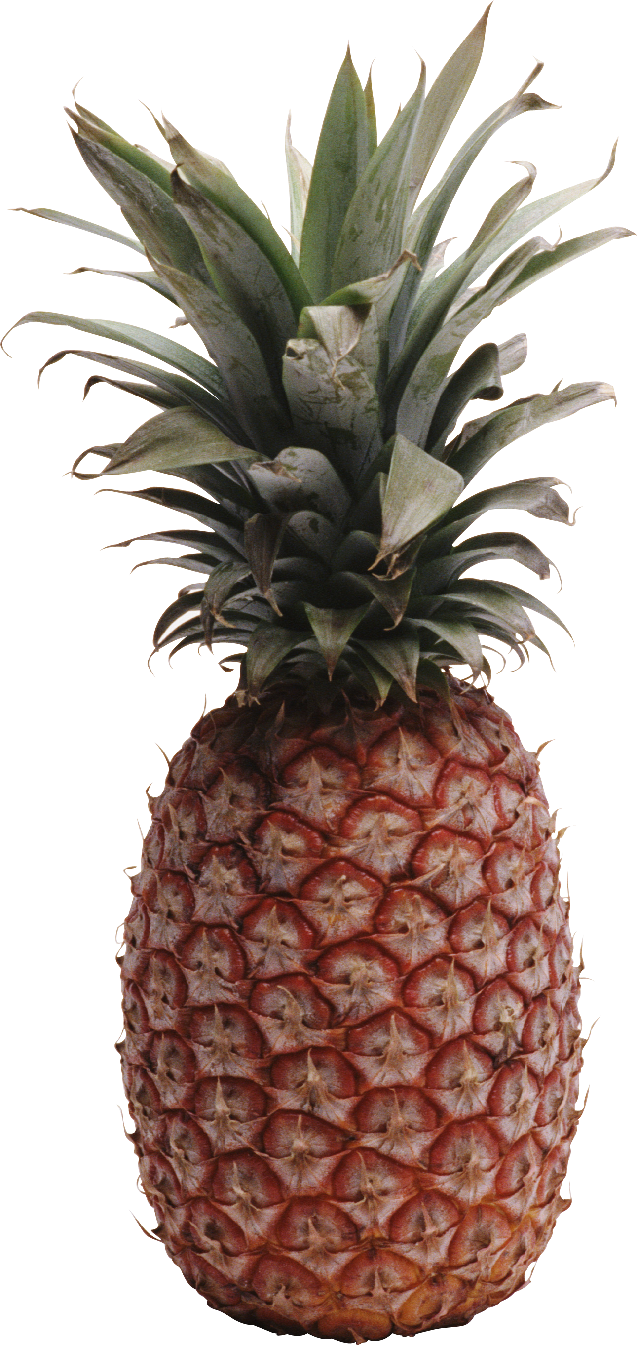 Pineapple Png Image, Free Download - Pineapple No Background (1291x2724), Png Download
