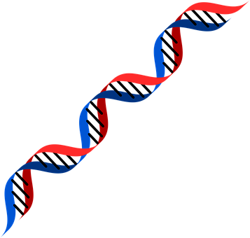 Dna Red Blue Genetics Human Woman Man Spec - Dna Red And Blue (357x340), Png Download