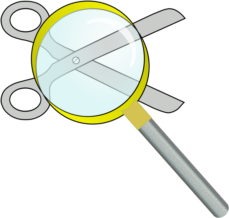 Computer Icons Microsoft Office Document Google Search - Search Clipart (786x750), Png Download