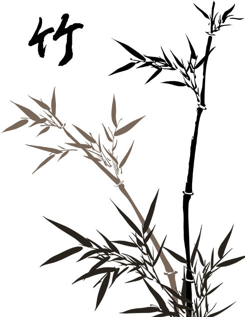 Tumblr Mmfgp5kplq1qc6wuio1 - Bamboo Drawing Png (490x653), Png Download