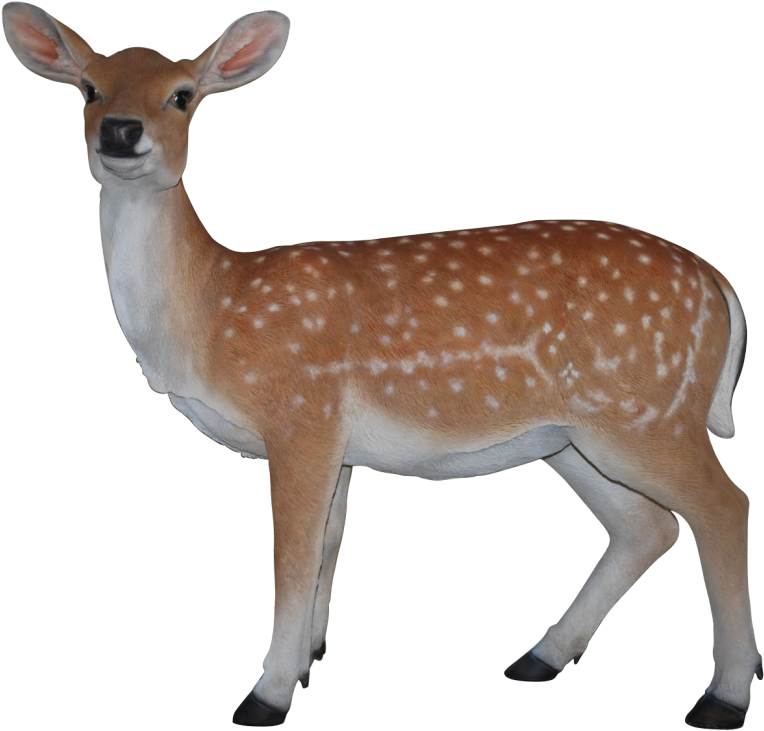 Deer Roe Png Picture - Standing Fawn Deer Outdoor Garden Statue 28 Inch (1299x870), Png Download