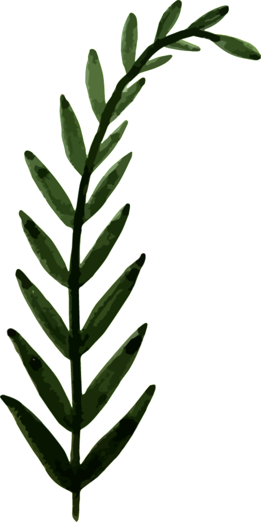 Hand Painted Leaves Png Transparent - Baby Announcement (1024x2045), Png Download