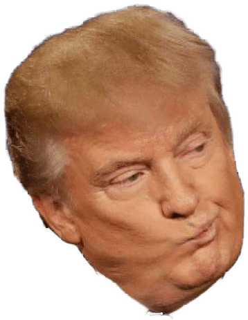 Donald Trump's Head - Trump Imbecile (535x524), Png Download