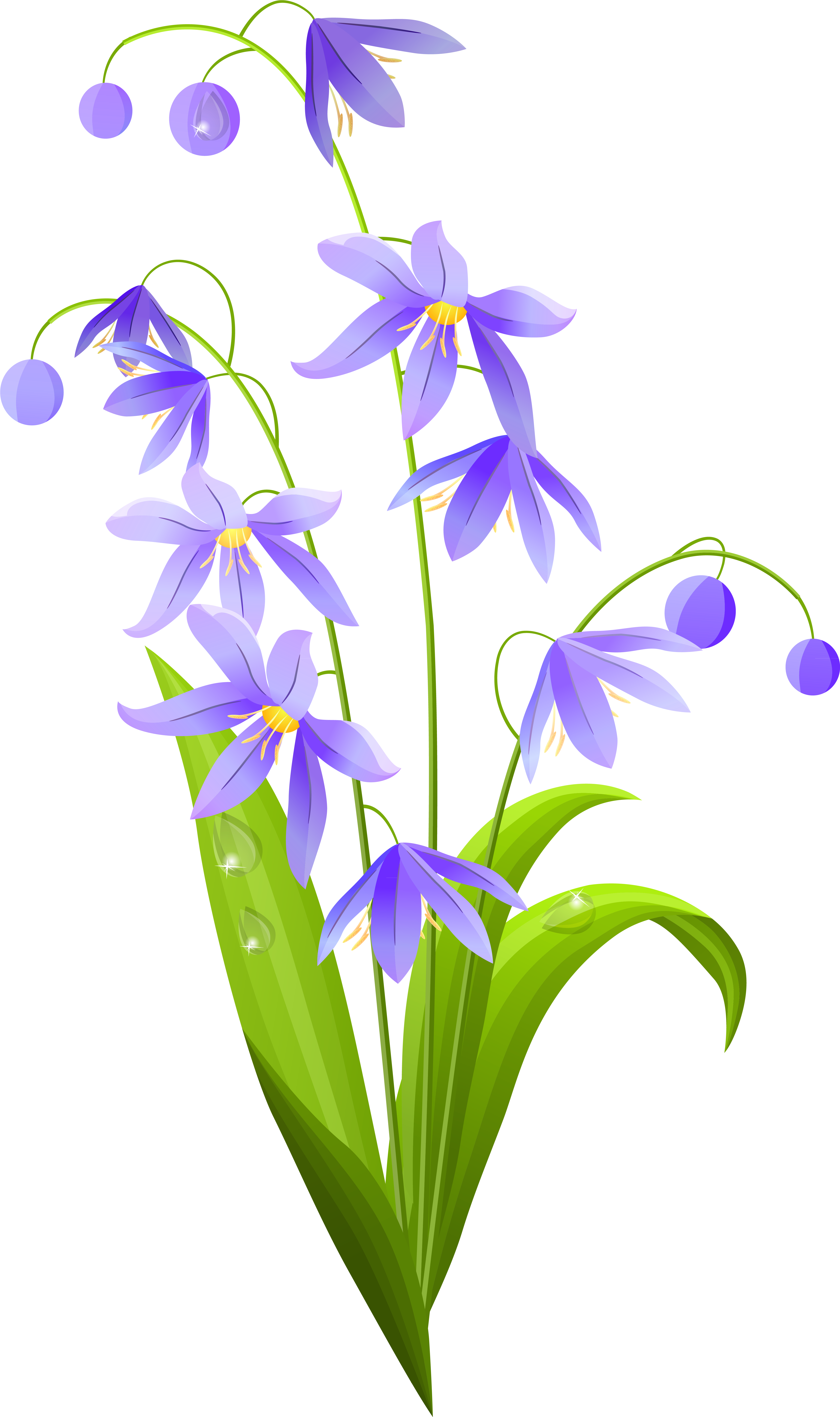 Spring Flower Png (4826x7855), Png Download
