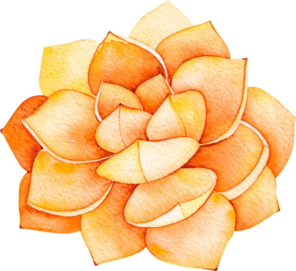 This Backgrounds Is Orange Flower Cartoon Transparent - Cactus Page Border Clip Art (1024x937), Png Download