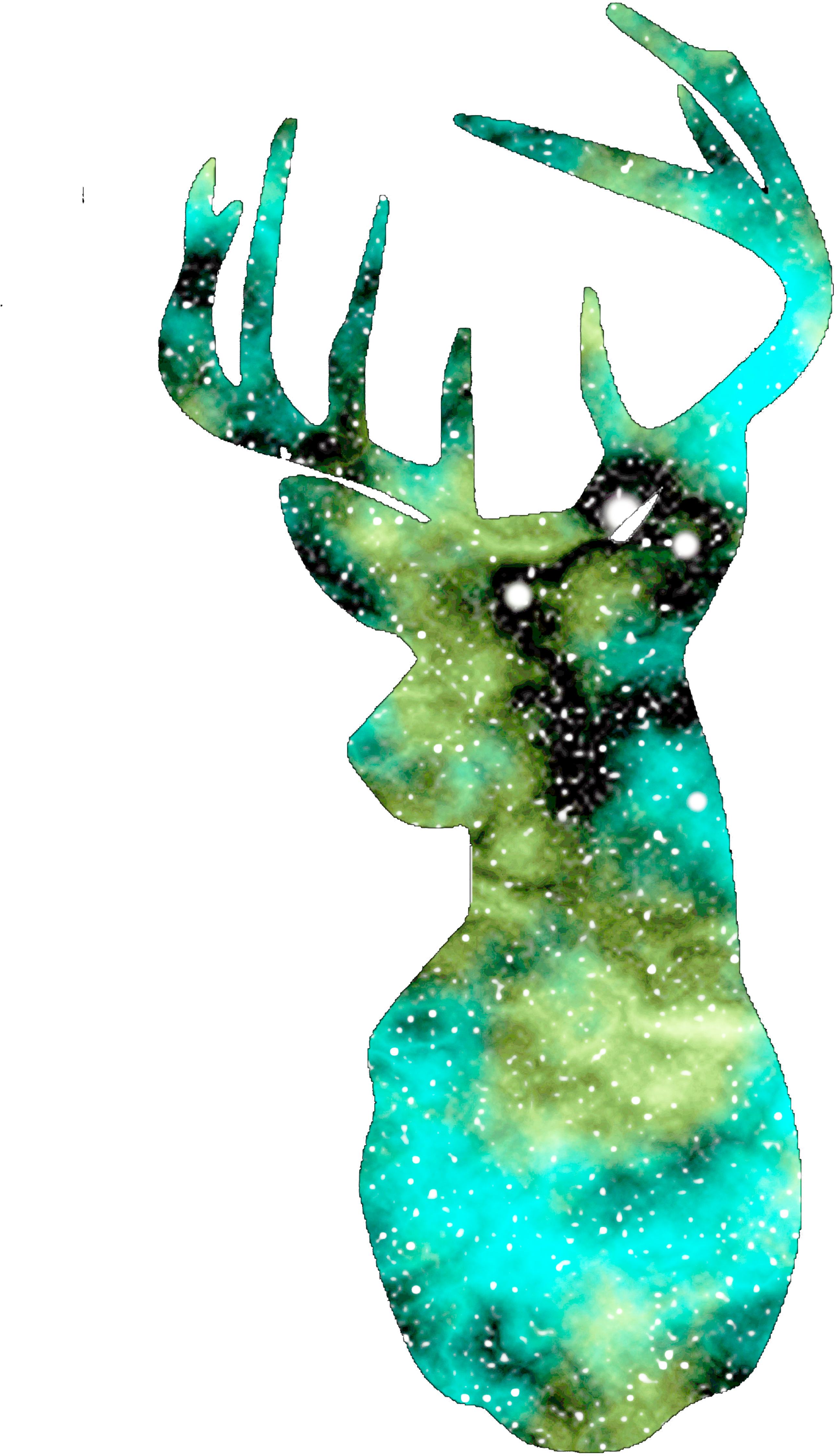 Turquoise Deer Head Shirt - Deer Head Png Galaxy (3300x5100), Png Download