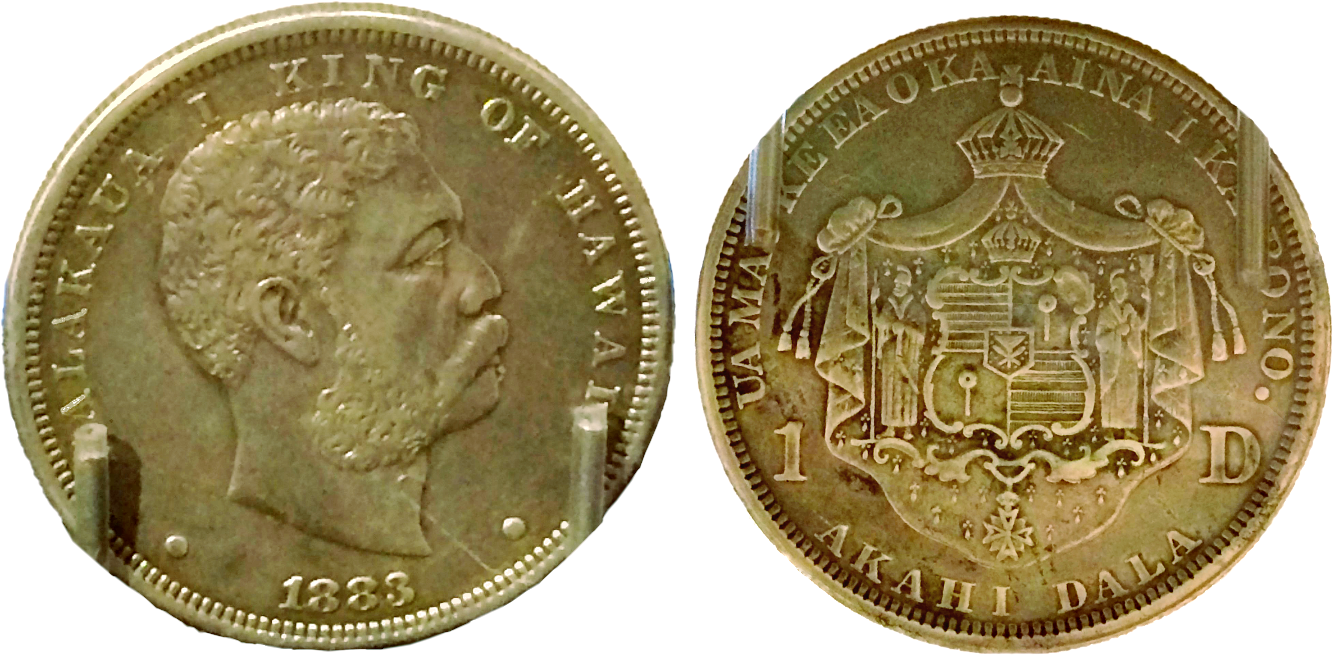 1883 Kalakakua One Dollar - Bactrian Coins (4550x2328), Png Download