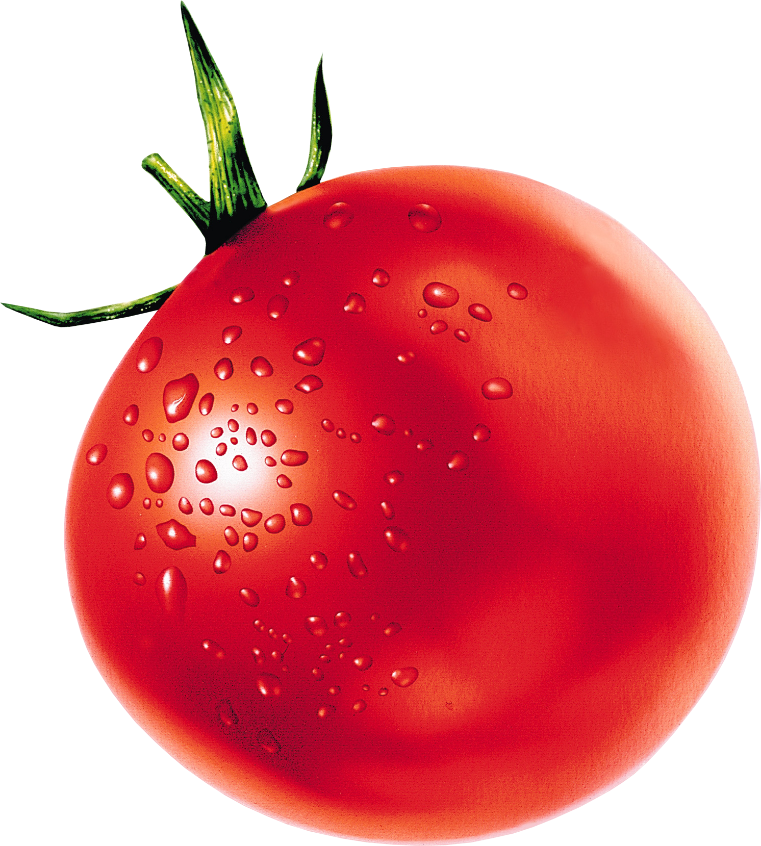 Tomato Png Free Download - Tomato Image With No Background (600x667), Png Download