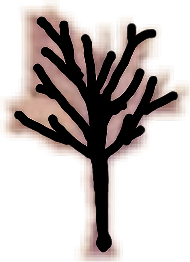 Report Abuse - Xxxtentacion (652x896), Png Download