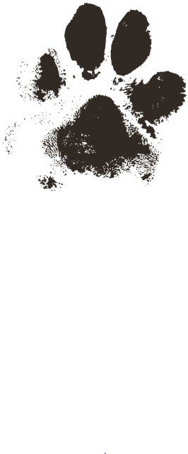 Dog Print Png - Huella Pata De Perro (360x720), Png Download