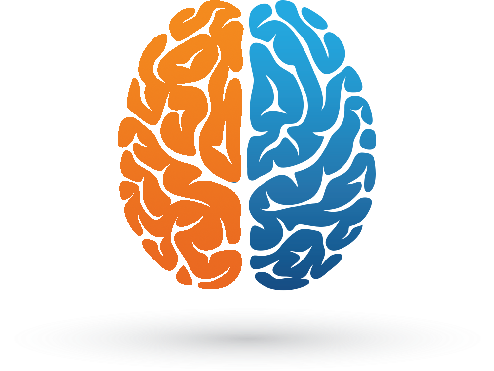 Brain Hemispheres - Das Schöpferische Gehirn: Auf Der Suche Nach Der Kreativität (1000x848), Png Download