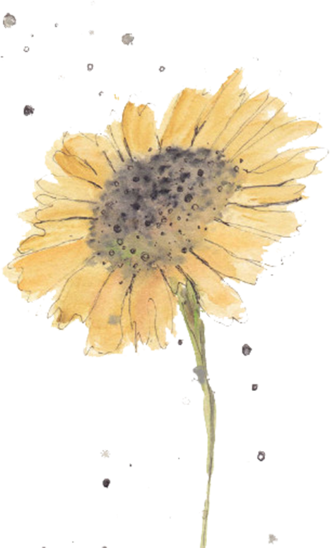 Flowers Watercolors For Beginners - Yellow Watercolor Flowers (542x788), Png Download