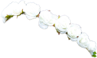 Flower Png Tumblr White Flower Crown Png Crown - White Flower Crown Png (500x500), Png Download