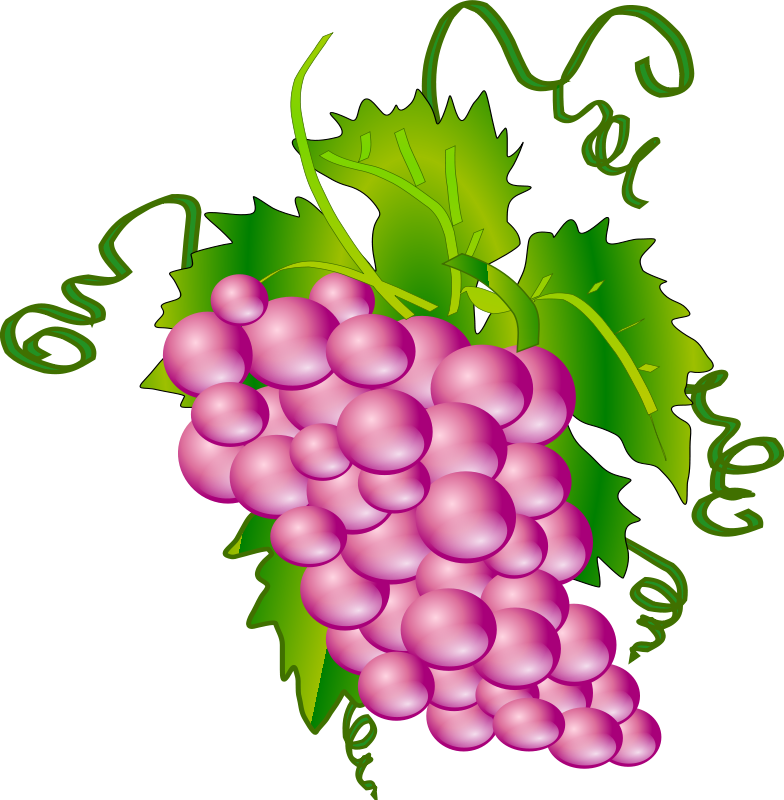 Bunch Of Green Grapes With Leaves Attached - Grapes Animation (784x800), Png Download