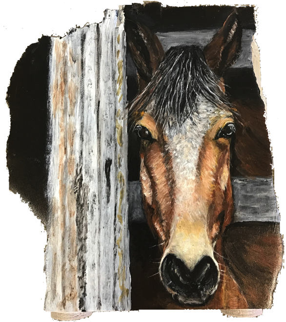 Mustang Horse (600x800), Png Download