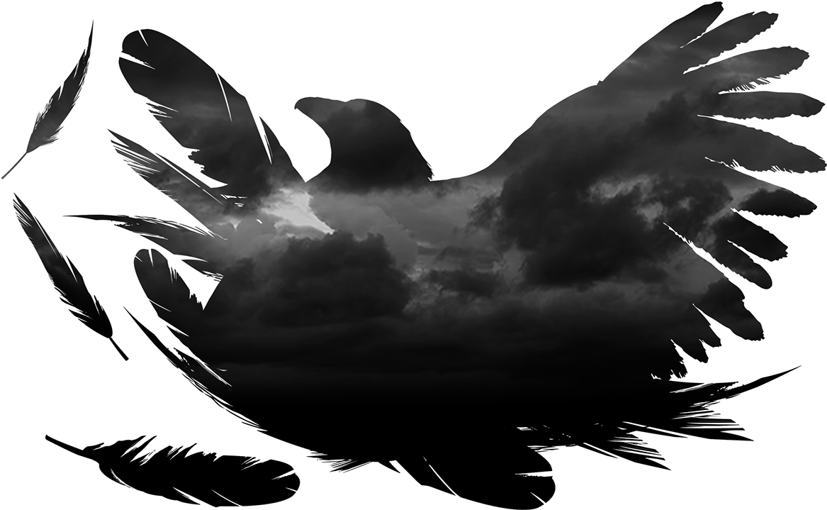 Services - Crow Design Png (1309x817), Png Download