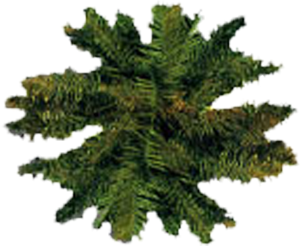 Tree - Architecture (672x552), Png Download