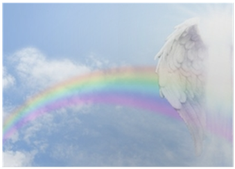 Download Angel Wings And Rainbow Website Banner Poster • Pixers ...