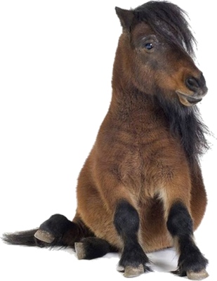 Share This Image - Pony Stuff By Ponies (309x400), Png Download