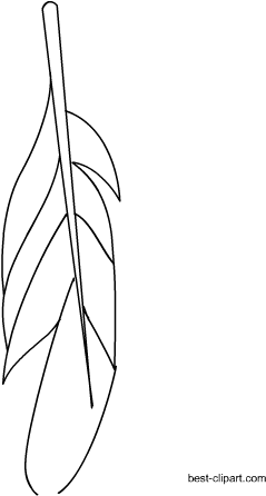 Black And White Feather - White Feather (450x450), Png Download